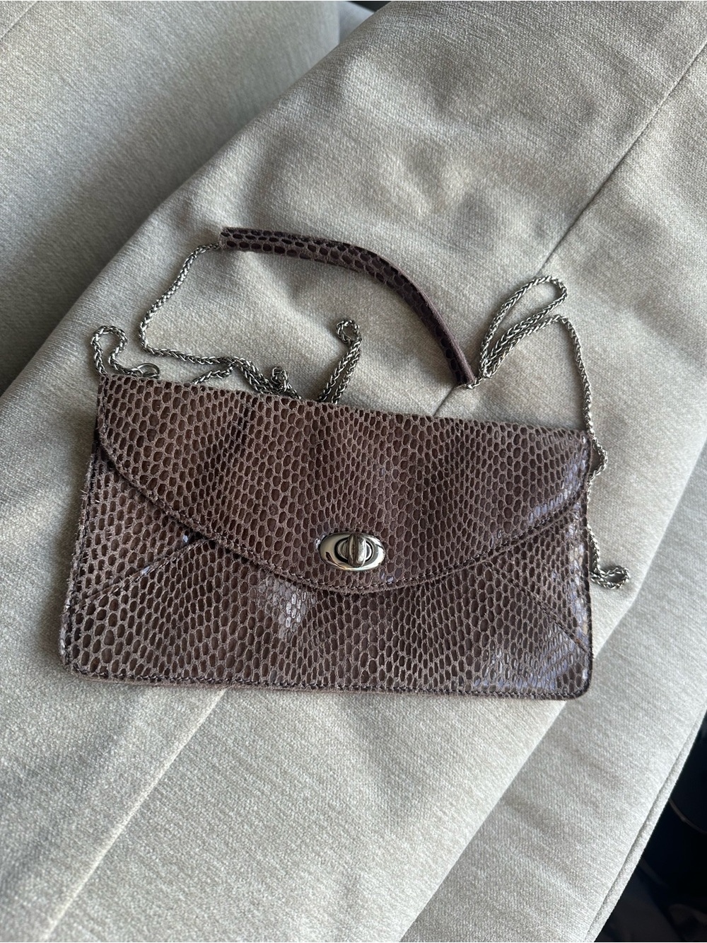 Sorial Brown Snake-Embossed Chain Shoulder Clutch